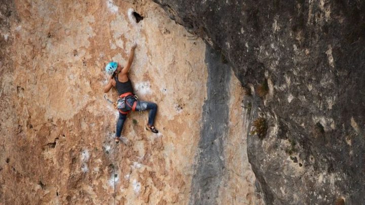 @veritoak en La guarra en el sector Alfar @paki.piks