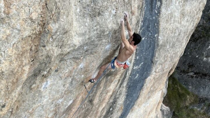 Zulú Demente en Crines de coral 8b