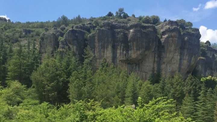 Panorámica sector Primate de Cuenca