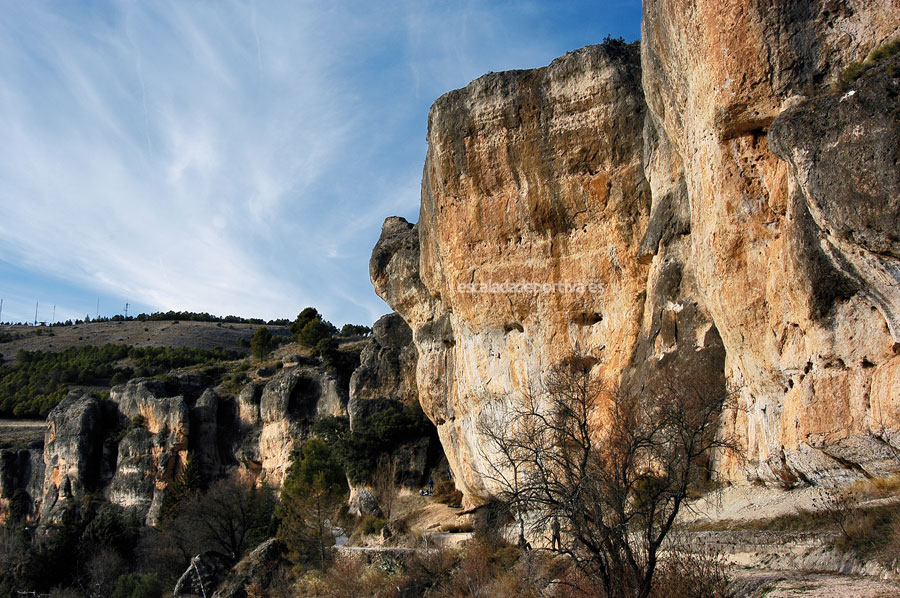 Los Hocimos Garrulos